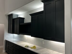 Kitchen cabinet black